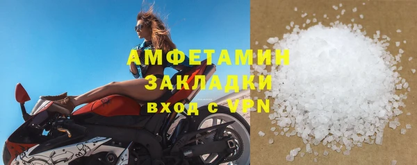 индика Беломорск