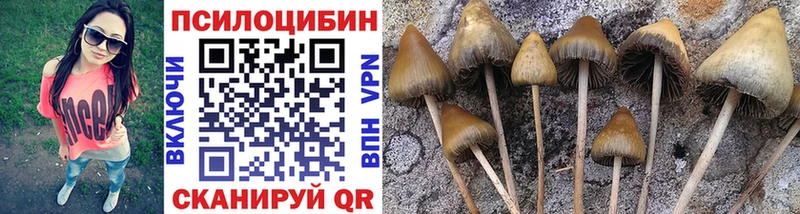 Галлюциногенные грибы прущие грибы Бирск